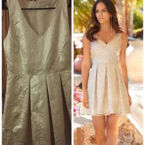 Nwt Boston Proper size 6